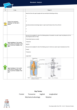 Key Terms: Frontal Transverse Sagittal