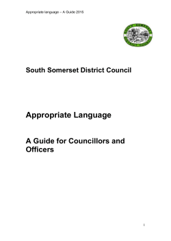 Appropriate Language &ndash; A Guide - South Somerset District Council