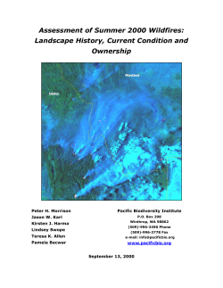 Assessment of Summer 2000 Wildfires