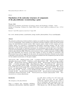Elucidation of the molecular structures of components of the