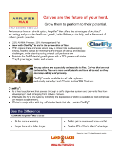 Amplifier Max-06-10.pub