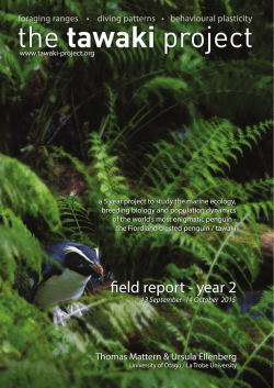 TawakiProject-FieldReport2015-small.
