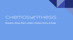 Chemosynthesis