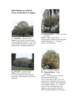 Information on selected Trees on the River Campus