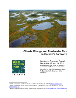 Climate Change and Freshwater Fish in Ontario`s Far North
