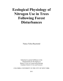 Ecological Physiology of Nitrogen Use in Trees Following Forest