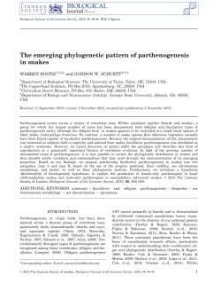 The emerging phylogenetic pattern of parthenogenesis in snakes