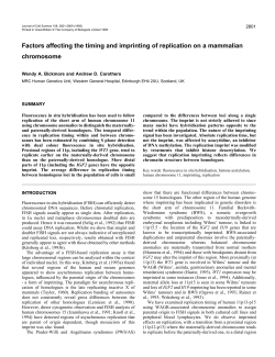 Factors affecting the timing and imprinting of replication on a