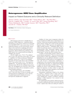 Heterogeneous HER2 Gene Amplification Impact on Patient
