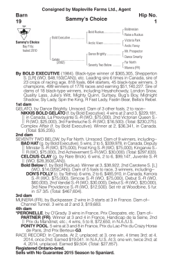 Sammy`s Choice Barn 19 Hip No. 1