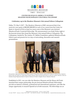 Celebratory cap to the Meadows Museum`s first annual Fellows