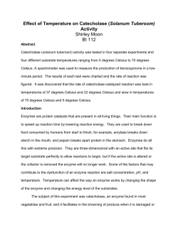 Effect of Temperature on Catecholase - Shirley Wimer-Moon