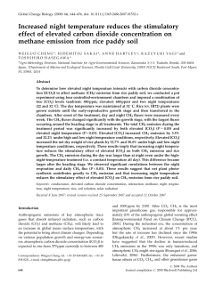 Increased night temperature reduces the stimulatory effect of