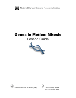 Genes in Motion: Mitosis - Science
