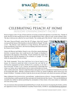 celebrating pesach at home - B`nai Israel Congregation