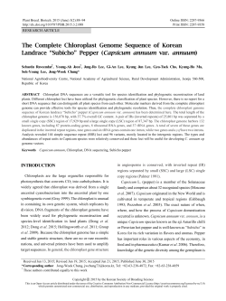 Capsicum annuum var. annuum - Plant Breeding and Biotechnology