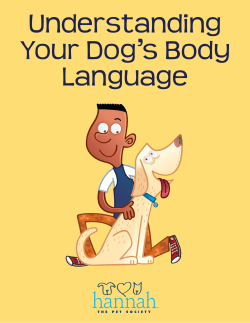 Dog Language - The Hannah Society