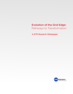 Evolution-Grid-Edge-Ecosystem-Whitepaper