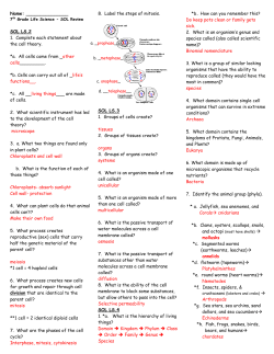 sol review questions