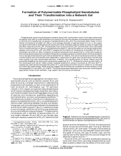 Formation of Polymerizable Phospholipid Nanotubules and Their