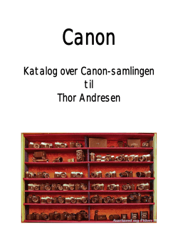 Canon - Aurland