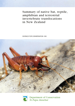 Summary of native bat, reptile, amphibian and terrestrial invertebrate