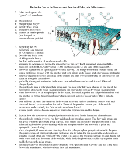 2. Label the diagram of a `typical` cell membrane: a) phospholipid b