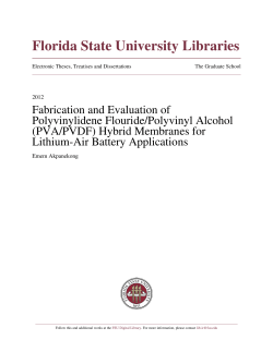 PVA/PVDF - DigiNole! - Florida State University