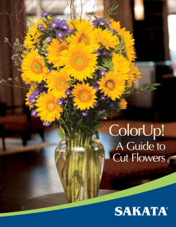 ColorUp! - Sakata Ornamentals