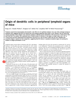 Origin of dendritic cells in peripheral lymphoid organs of mice