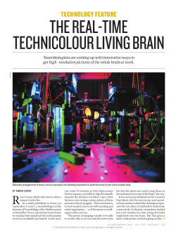 the real-time technicolour living brain