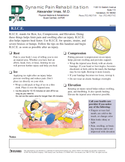 RICE - dynamicpainrehab.com