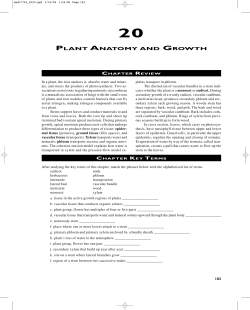 PLANT ANATOMY AND GROWTH