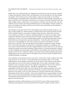 Invaders in the Sugarbush, May 2009