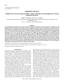 PDF - Birgitte I. McDonald, Ph.D.