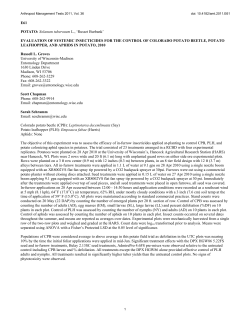 E61 POTATO: Solanum tuberosum L., `Russet Burbank