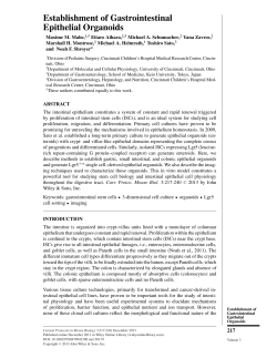 Establishment of Gastrointestinal Epithelial Organoids