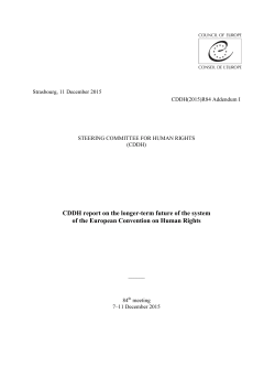 CDDH report on the longer-term future of the