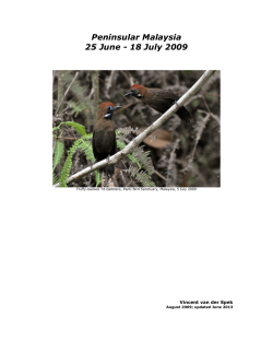 Peninsular Malaysia 25 June - 18 July 2009