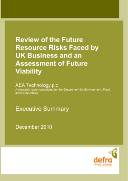 Review of Resource Risks to Business and an Assessment of Future