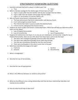 STRATIGRAPHY HOMEWORK QUESTIONS