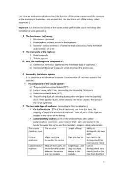 L09 Physio2 RenalSystem2 DrEbaa