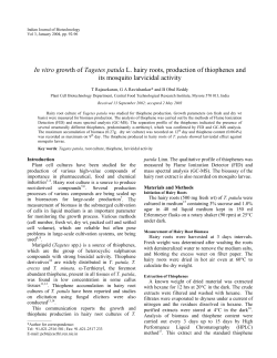 In vitro growth of Tagetes patula L. hairy roots, production of