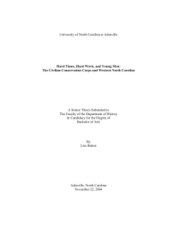 Hard Times, Hard Work, and Young Men