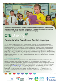 CfE Briefing 17 - Education Scotland