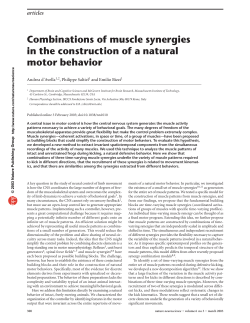 Combinations of muscle synergies in the construction of a