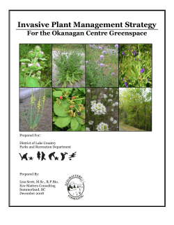 Invasive Plant Management Strategy