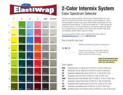 Eastwood ElastiWrap 2-Color Intermix System!