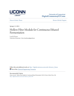 Hollow Fiber Module for Continuous Ethanol Fermentation