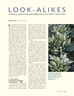 LOOK-ALIKES - Hosta - American Hosta Society